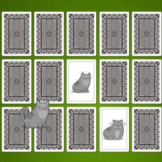 Play Game - Find pairs