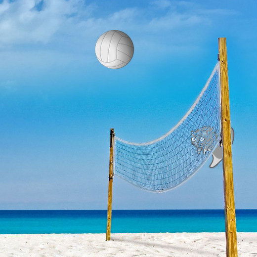 Play Game - Volley Ball